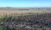 Randonnée Marche Barbonne-Fayel - dans le vignoble Champenois autour de BARBONNE-FAYEL - Photo 4