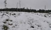 Trail Walking Theux - Bronromme sous la neige  - Photo 5