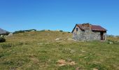 Tocht Stappen Cauterets - plateau du lisey 2019 - Photo 8