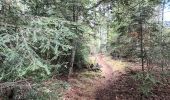 Tour Wandern Bargème - montagne de Brouis-Bargème-19-03-23 - Photo 2