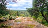 Randonnée A pied Fontainebleau - Fontainebleau les monts de Fay - Photo 13