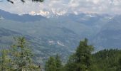 Randonnée Marche La Plagne-Tarentaise - Le col du Suchet retour les Frasses - Photo 4