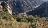 Tour Wandern Ria-Sirach - 20221117 une boucle depuis Sirach - Photo 5