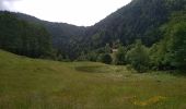 Tour Wandern Storckensohn - Urbes - Gazon vert - Photo 16