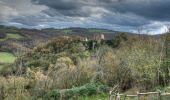 Tour Zu Fuß Albinea - Borzano - Ca' dei Duchi - Bellavista - Ca' del Vento - Giareto - Borzano - Photo 8