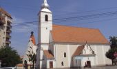 Tour Zu Fuß Szeklerburg - oraș Miercurea Ciuc - Poiana Hirtelen - intersecție traseul BA (creasta principală) - Photo 2