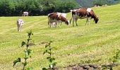 Trail Walking Limbourg - Limbourg ( promenade dans les bois) - Photo 13