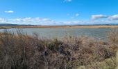 Tocht Stappen Vendres - Vendres -Port de Chichoulet (34) - Photo 14