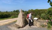 Tocht Stappen Le Vast - Le long de la vallée de la Sairre - Photo 2