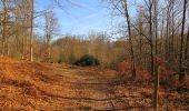 Tocht Te voet Vieux-Moulin - en forêt de Compiègne_23_la Grotte des Ramoneurs_le Mont Berny - Photo 7