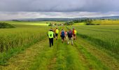 Trail Walking Nailly - Boucle 25 km autour de Nailly  - Photo 16