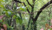 Trail Walking La Motte - a motte/Le muy  - Photo 5