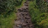 Trail Walking Orbey - Tour des 3 lacs (lac noir, blanc, Forlet) Vosges - Photo 9