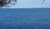 Trail Walking Saint-Jean-Cap-Ferrat - CAP FERRAT - Photo 2