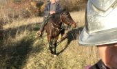 Trail Horseback riding Gresswiller - Triggur gresswiller cva  - Photo 14