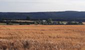 Tocht Stappen Libin - GR 14 BIVOUAC DU BIOLIN (Smuid) - OUR - Photo 3