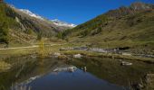 Trail On foot Sand in Taufers - Campo Tures - IT-3 - Photo 8