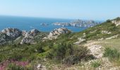 Trail Walking Marseille - Marseilleveyre-sommet-1105-22 - Photo 3