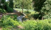 Tocht Stappen Fleurus - forêt des loisirs Fleurus - Photo 12