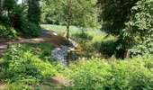 Trail Walking Fleurus - forêt des loisirs Fleurus - Photo 12