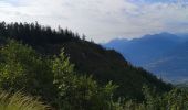 Tocht Noords wandelen Arbaz - Evouettes - Anzère  - Photo 3