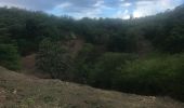 Tour Nordic Walking Sainte-Anne - Nu pied modette - Photo 1