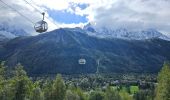 Tour Wandern Chamonix-Mont-Blanc - J13 - R11 - Chalet La Floria depuis Les Praz de Chamonix - Photo 8