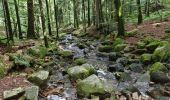 Trail Walking Rochesson - boucle rochesson - cascade du battion - rocher de la vierge - saut du bouchot - rochesson  - Photo 16