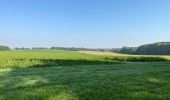 Tour Wandern Oud-Heverlee - Meedael Bos st Jorisweet weg parking 16 km - Photo 8