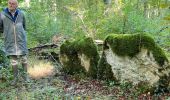 Tour Wandern Arc-en-Barrois - 52 Arc en Barrois dolmens - Photo 1