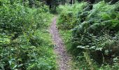 Tocht Stappen Seraing - Randonnée des 3 bunkers - Photo 1