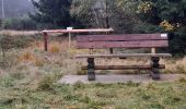 Trail Horseback riding La Roche-en-Ardenne - Route d'Artagnan Manhay - Photo 1