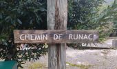 Tocht Stappen Ax-les-Thermes - Chemin de Runac - Photo 2