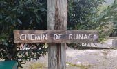 Tour Wandern Ax-les-Thermes - Chemin de Runac - Photo 2