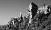 Tour Wandern Le Muy - Pk Piste des Corbières - Rocher de la fille d'Isnard - Photo 8