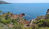 Tocht Stappen Saint-Raphaël - Les Ferrieres depuis la Necropole de Boul... - Photo 3