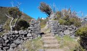 Percorso Marcia Ilha - Madère : vers le Pico Ruevo sommet de l'île - Photo 12