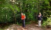 Trail Walking Engins - La Ferme Durand - Photo 3