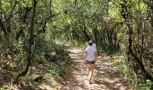 Trail Walking La Roque-sur-Cèze - les cascades du Sautadet - Photo 4