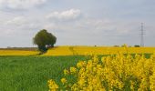 Tocht Stappen Sombreffe - Marche Adeps à Tongrinne - Sombreffe - Photo 5