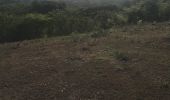 Trail Nordic walking Sainte-Anne - Modette  - Photo 1
