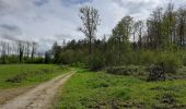 Trail Walking Clavier - Pailhe  - Photo 3