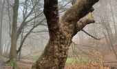 Randonnée Marche Auderghem - Vallon des trois fontaines - Photo 7