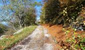 Excursión Senderismo Saou - La Grande Combe en Forêt de Saoû - Photo 6