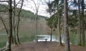 Tocht Te voet Houffalize - Promenade du Lac de Nisramont - Photo 1