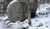 Percorso Racchette da neve Gérardmer - Gerardmer #3 raquettes - Photo 2