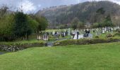 Tour Wandern The Municipal District of Wicklow - Glendalough  - Photo 5