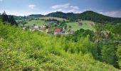 Excursión A pie Bystřička - CZ-green foot - Photo 6