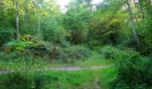 Trail Walking Choisy-au-Bac - en forêt de Laigue_5_09_2019_Mont Moyen_Queue du Bois_Plates Noues - Photo 8