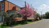 Tocht Stappen Blegny - Promenade du vendredi - Photo 16